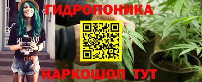 каннабис Новозыбков