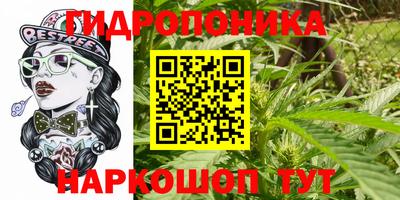 ГАЛЛЮЦИНОГЕННЫЕ ГРИБЫ Новодвинск