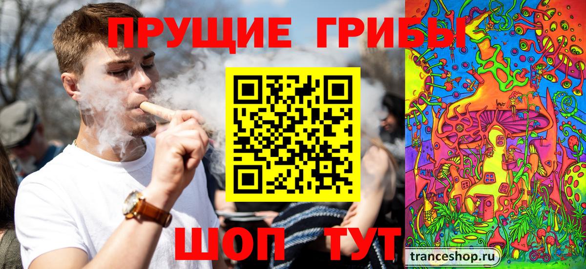 Баксан  как найти закладки  Псилоцибиновые грибы Cubensis  Вход с VPN  Галлюциногенные грибы GOLDEN TEACHER 